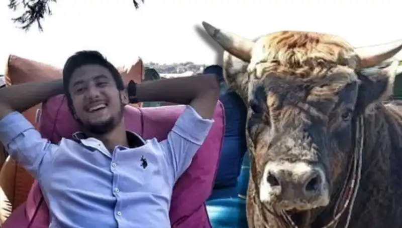Aydın'da Güreş Boğası Faciası: Can Kaybıyla Sonuçlanan Olay