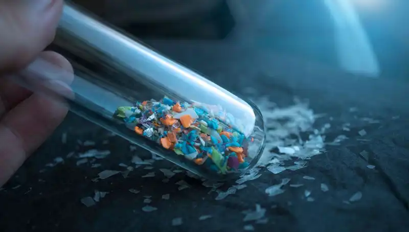 Mikroplastikler İnsan Beynine Ulaşarak Sağlığı Tehdit Ediyor