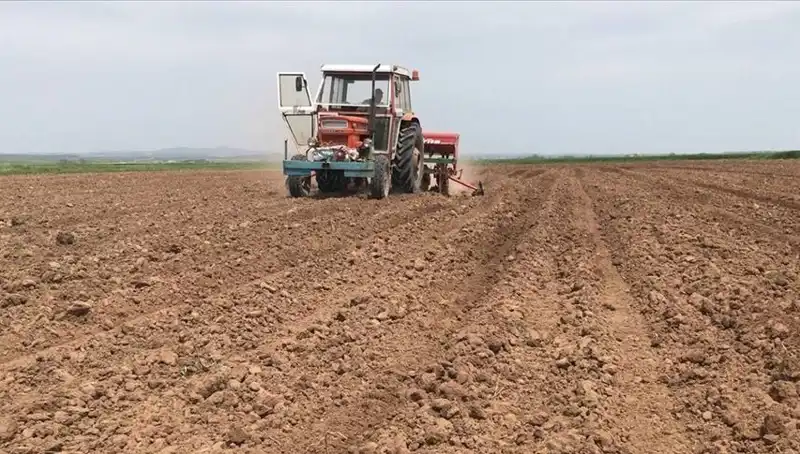 35 Yılın En Kurak Mart'ı: Türkiye'de Yağış Miktarı Düşüşte