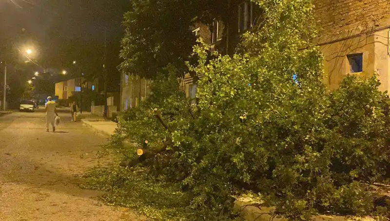 Karabük'te Vahşi Fırtına: Doğa Felaketi Kentte Hayatı Olumsuz Etkiledi