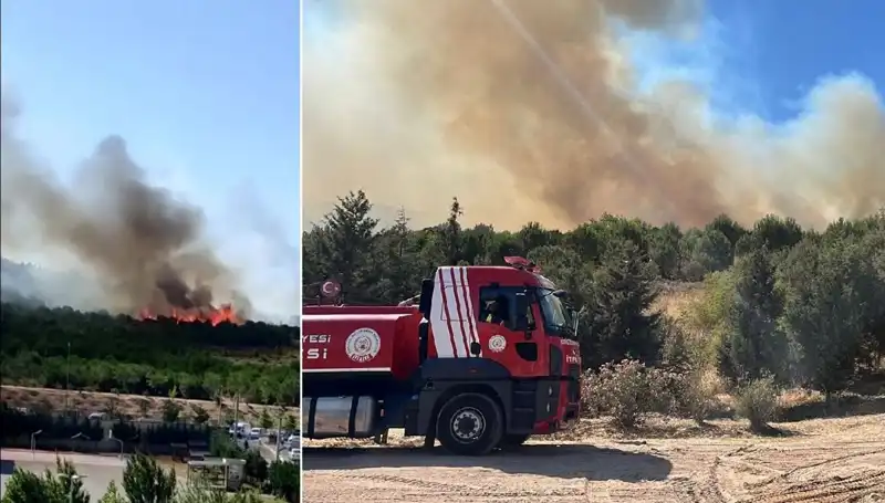 Gebze’deki Orman Yangınında Son Durum: Yangının Nedenleri ve Etkileri