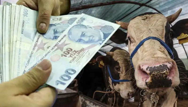 Emekli ve Memur Maaşları Kurban Bayramı Öncesi Hesaplara Geçiyor mu?