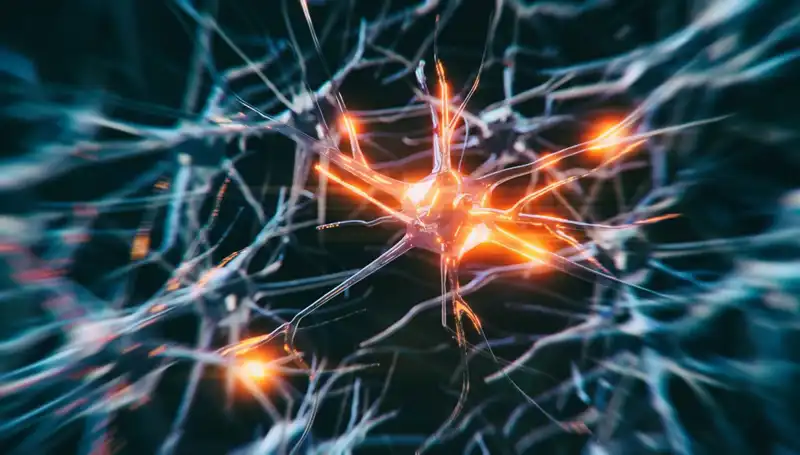 Alzheimer Vakalarındaki Artışın Arkasındaki Nedenler Neler?