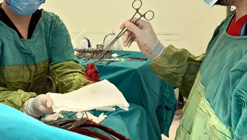 Kalp Kapağındaki Çürüme, 7 Saatlik Zorlu Ameliyatla Yeniden Canlandırıldı!