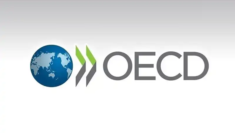 OECD, Türkiye’nin Ekonomik Büyüme Tahminini Yükseltti: Yeni Rakamlar Neler?