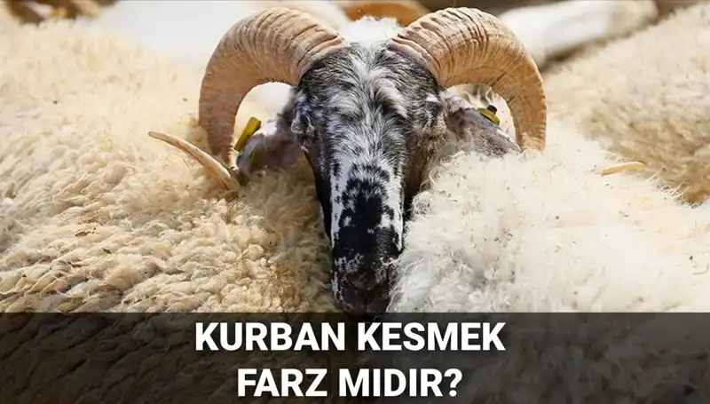 Kurban Kesmek Farz mı? Diyanet ve Şartları Hakkında Bilmeniz Gerekenler