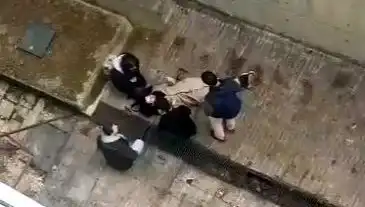 Kampüste Köpek Paniği: Genç Kız 4 Metreden Betona Düştü!