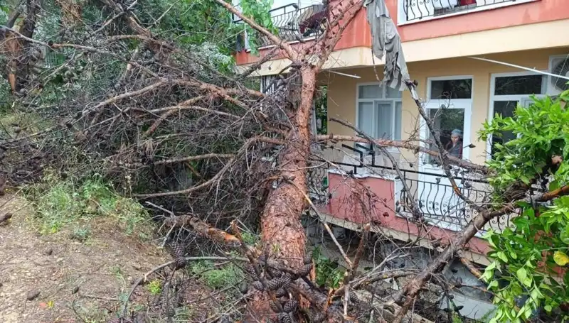 Yağmura Dayanamayan Bina, Fırtınada Devrildi: O Anlar Kamerada