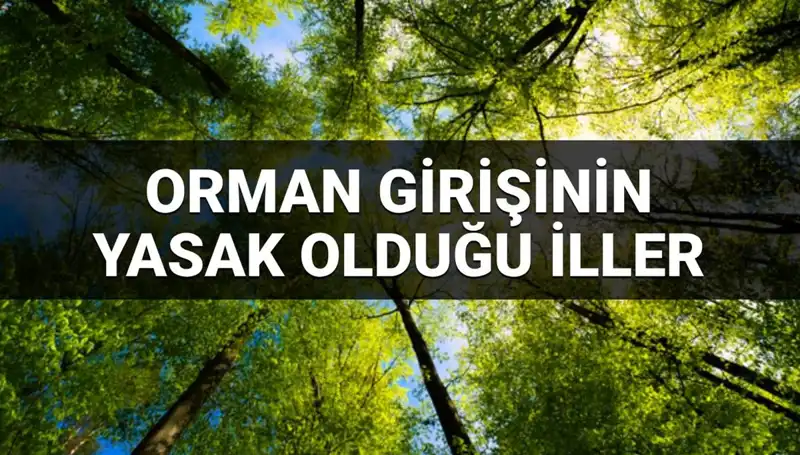 2025 Yılında Ormana Girmek Yasaklanan İllerin Listesi Açıklandı