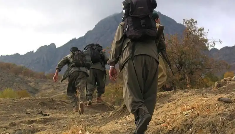 Türkiye'de Terörsüz 48 Saat: Öcalan'ın Mesajının Kandil'e Ulaşması Bekleniyor