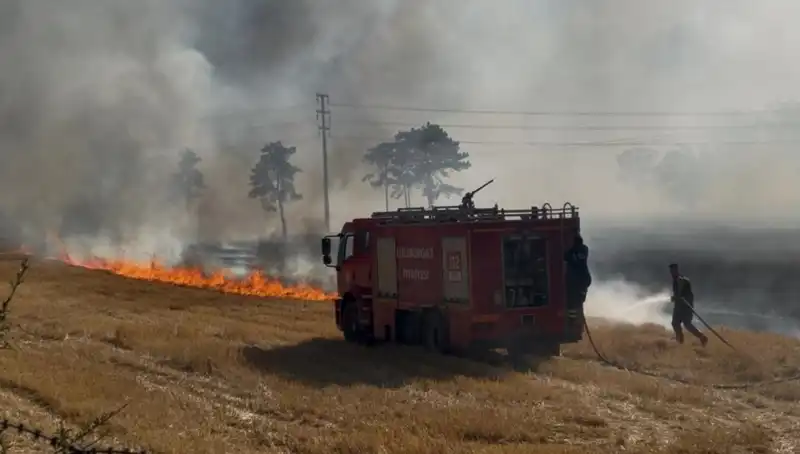 Kırklareli'nde Anız Yangını Korkuya Neden Oldu! Olayın Ardındaki Gerçekler Neler?