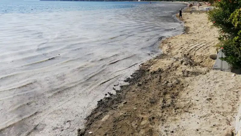 Müsilaj Sorunu Derinleşiyor: 268 İşletmenin Faaliyeti Durduruldu
