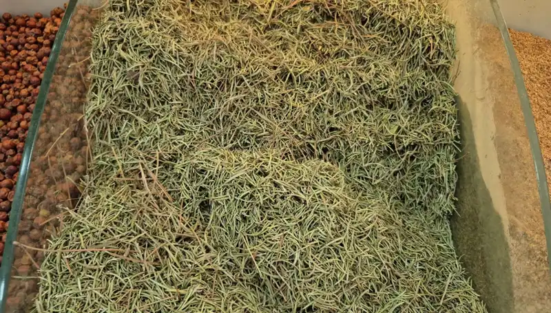 Yaz Aylarında İnternette Satılan Tehlikeli Ürünler: Ölüme Götüren Tehlikeler