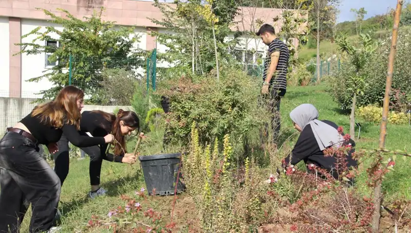 Düzce’nin Yıldızı Parladı: Hayalin Gerçek Öyküsü